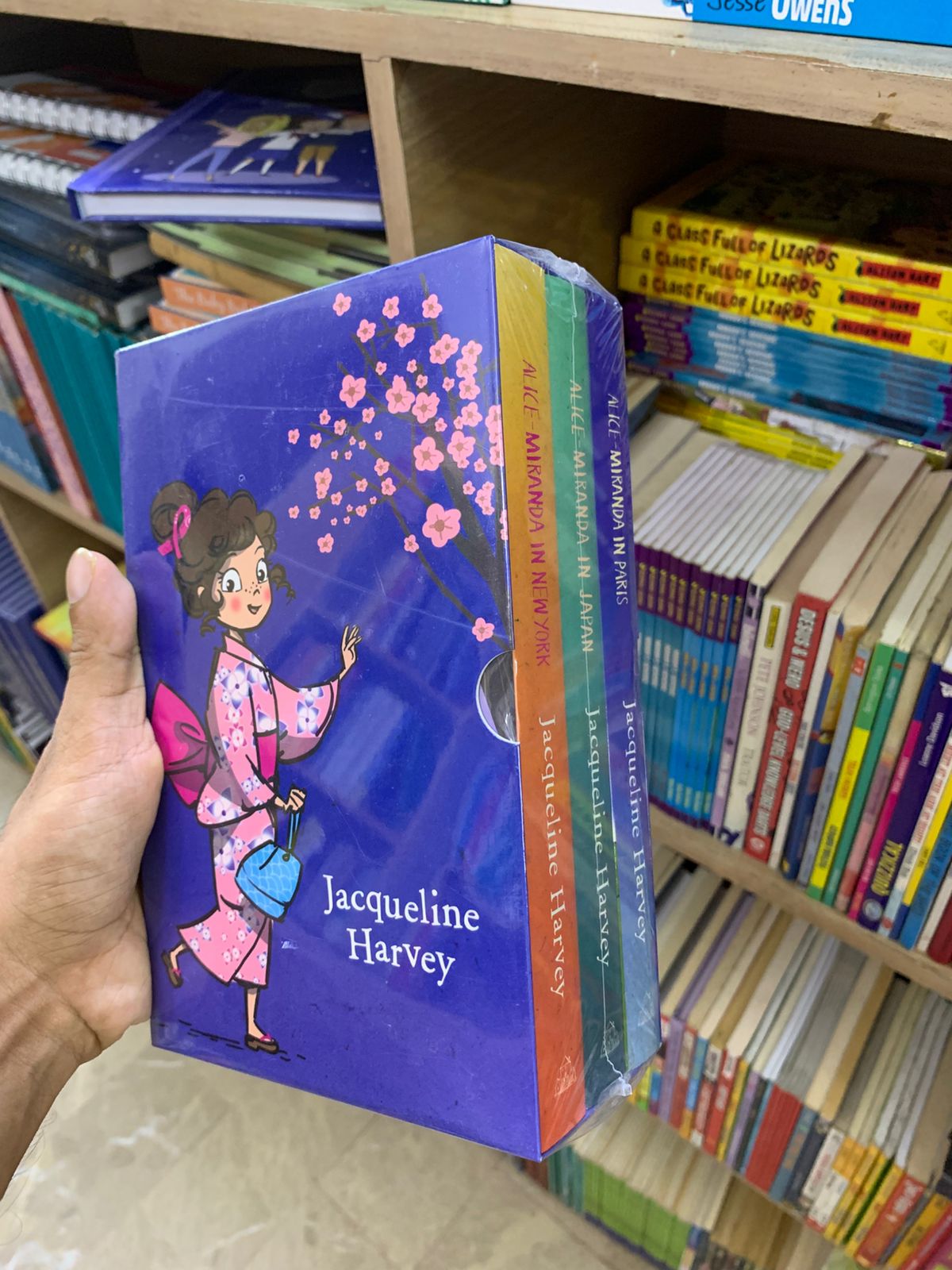 Alice Miranda in Paris Jacqueline Harvey book set (Original Edition) Booklify