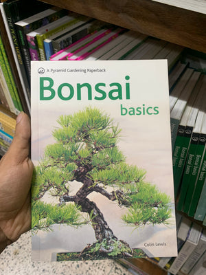 Bonsai Basics