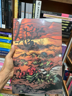 Natural Landscapes: An Illustrated Art Journey