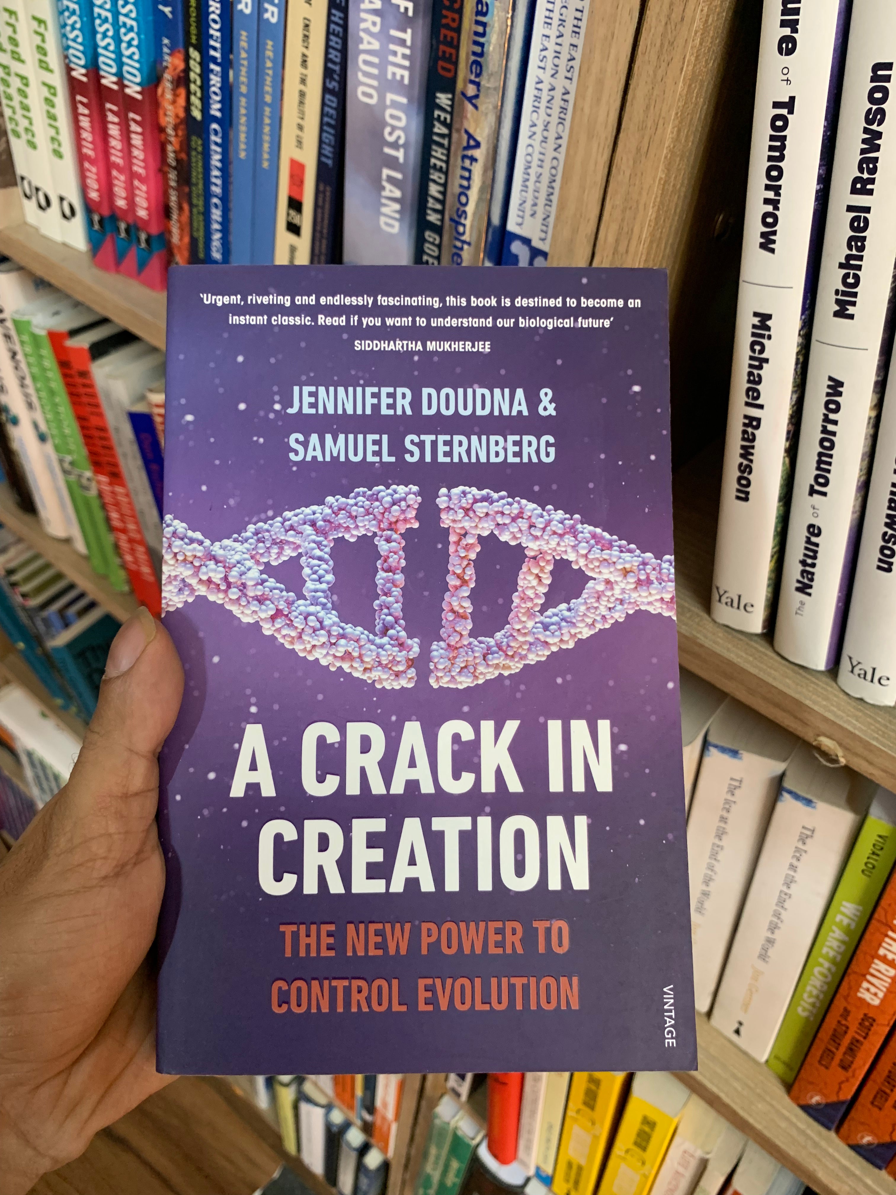 A Crack in Creation by Jennifer Doudna and Samuel Sternberg