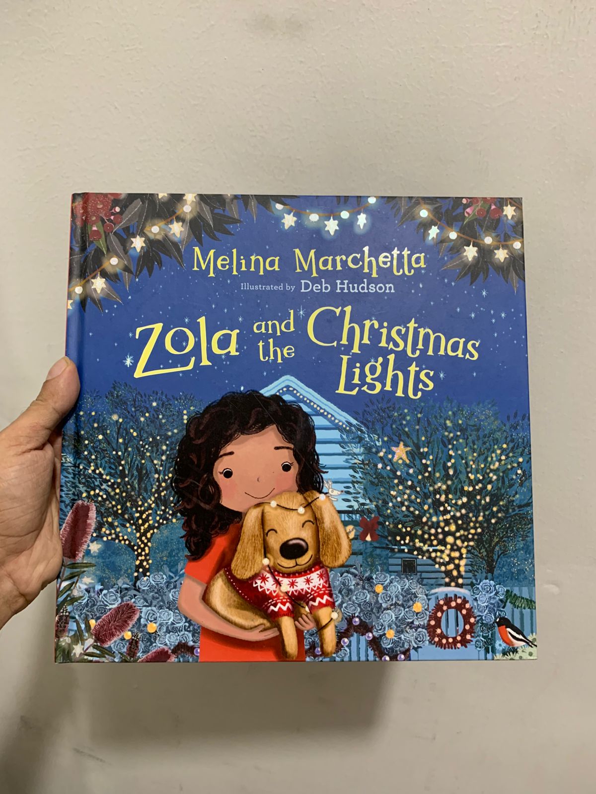 Zola and the Christmas Lights