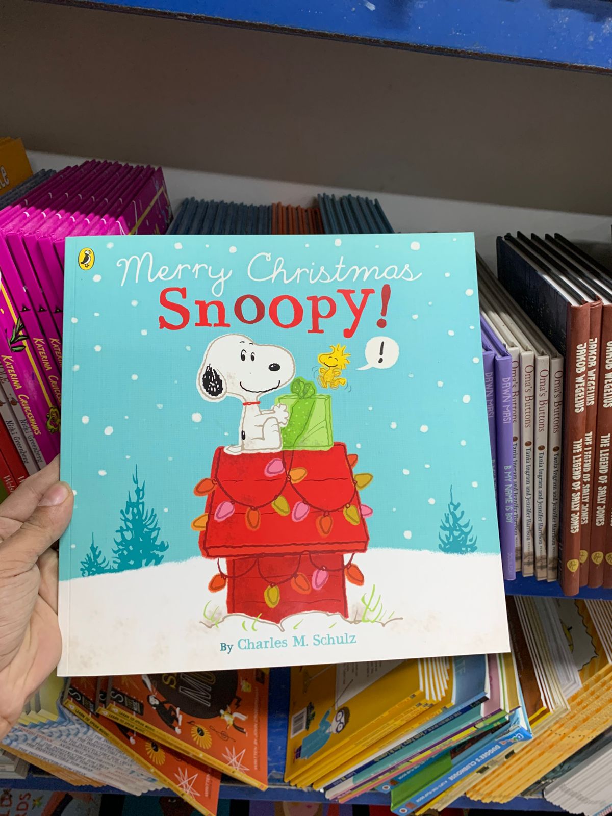 Merry Christmas Snoopy!
