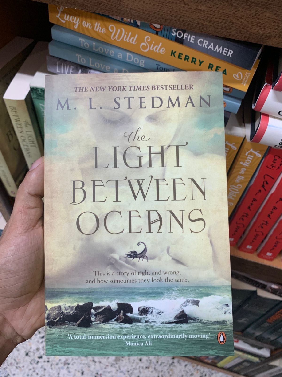 The Light Between Oceans
