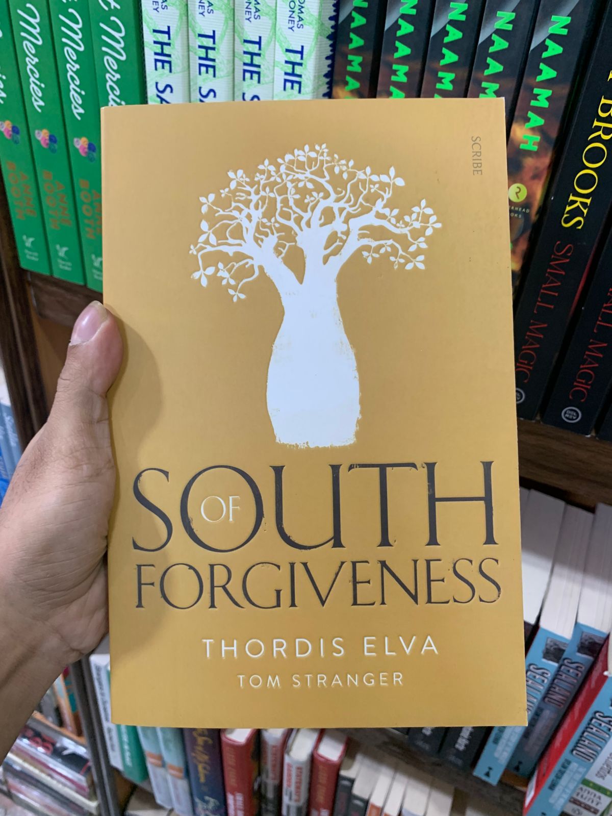 South of Forgiveness