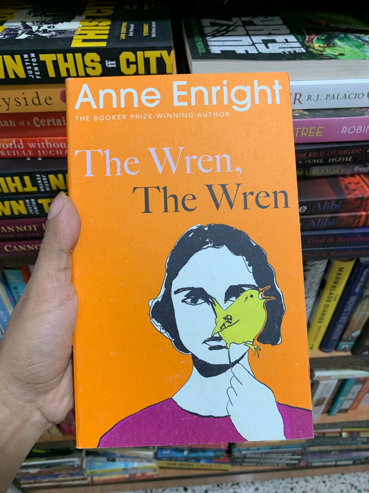 The Wren The Wren