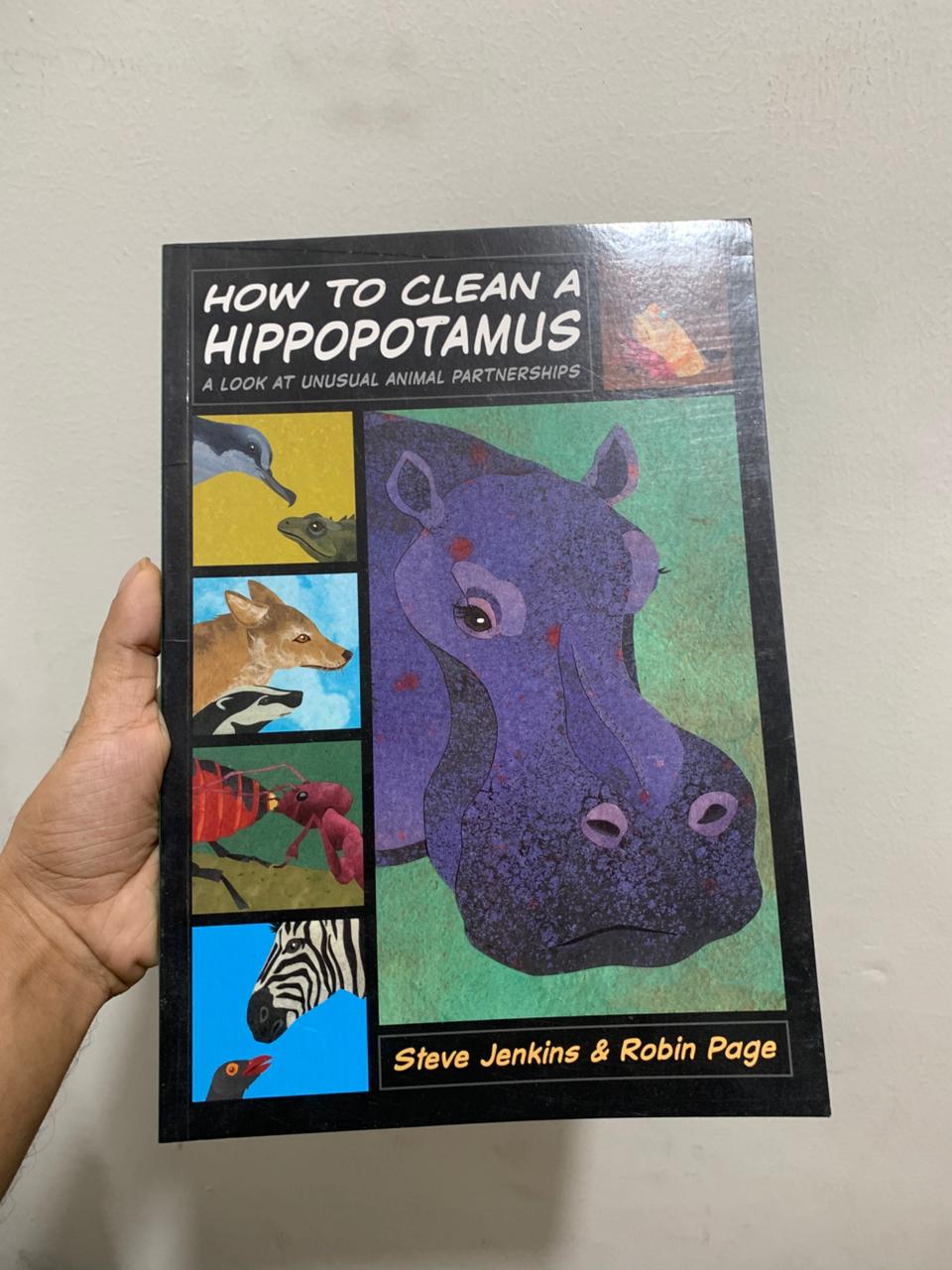 How to Clean a Hippopotamus (Original)