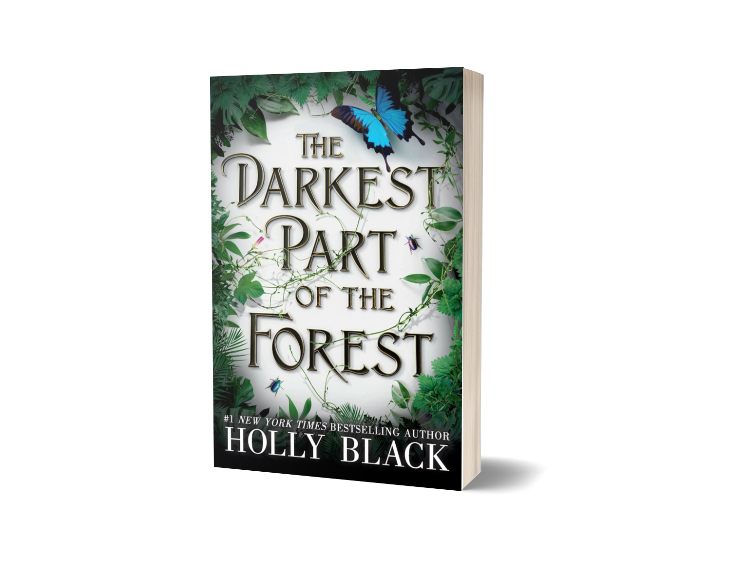 The Darkest Part of The Forest by Holly Black (Limited Edition) Book A Book