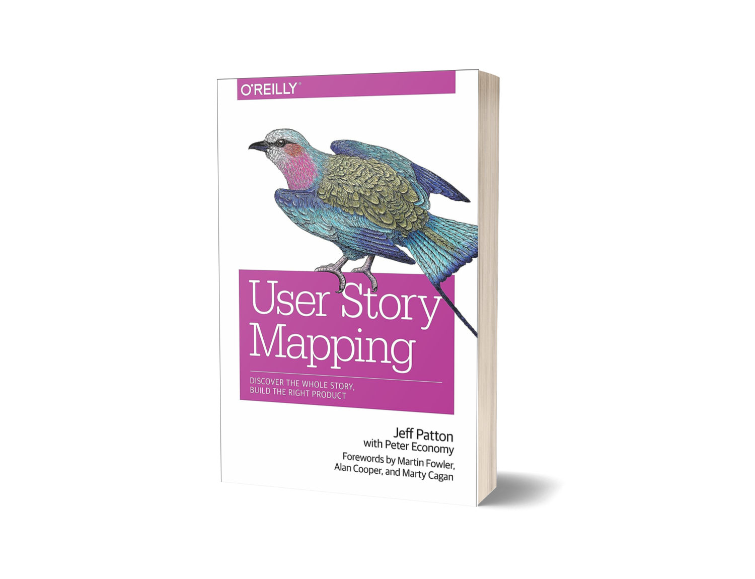 User Story Mapping by Jeff Patton, Martin Fowler, Peter Economy, Alan Cooper (Limited Edition) Book A Book
