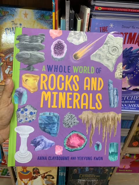 A Whole World of...: Rocks and Minerals  (original edition) Booklify