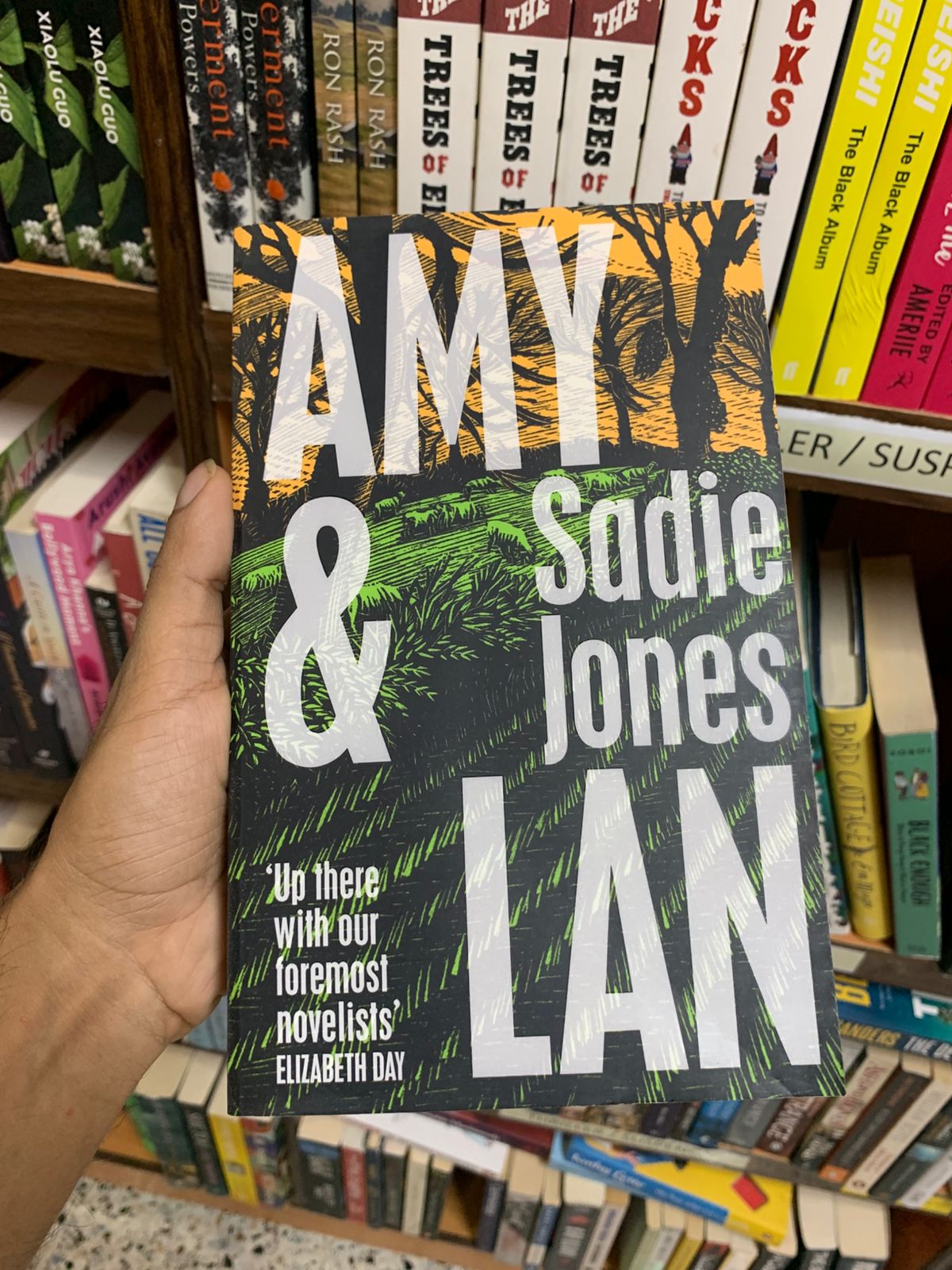 Amy & Lan A Novel (Original Edition) Booklify