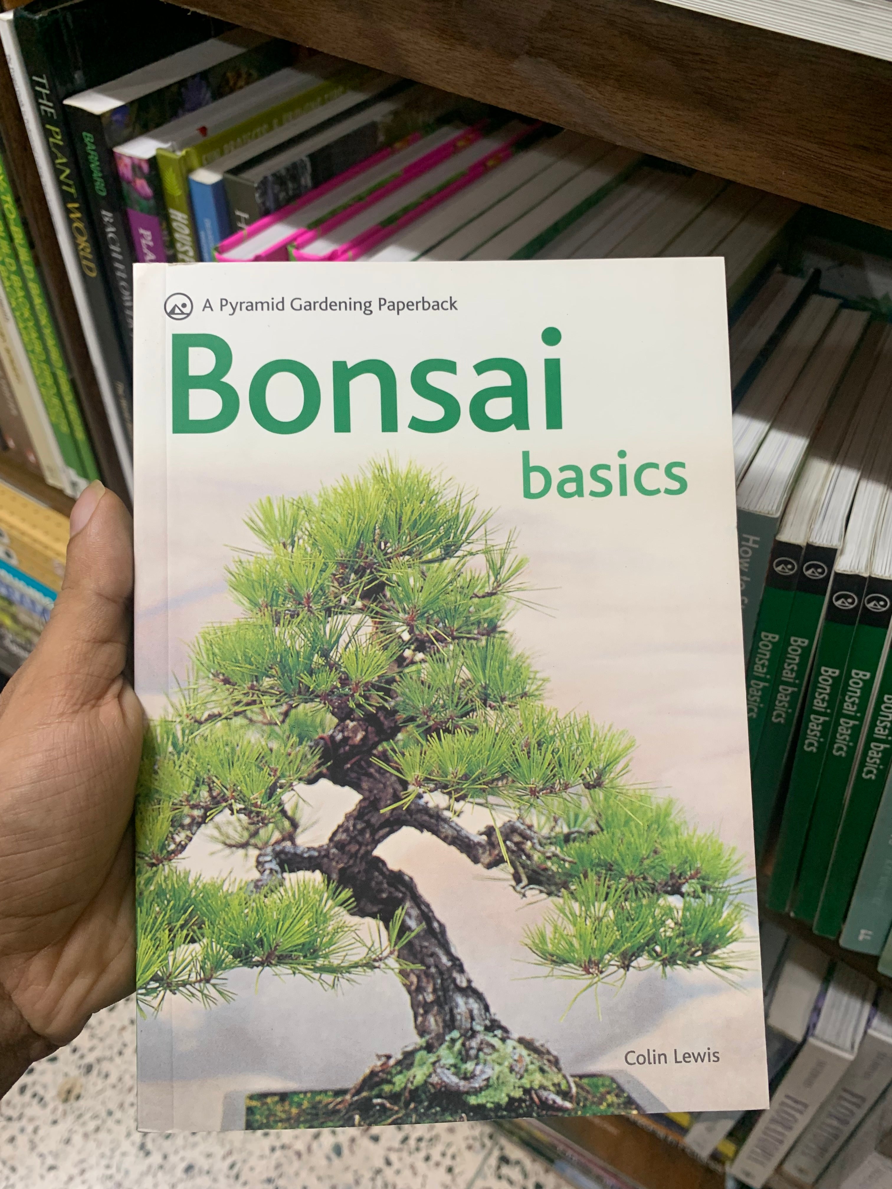 Bonsai Basics