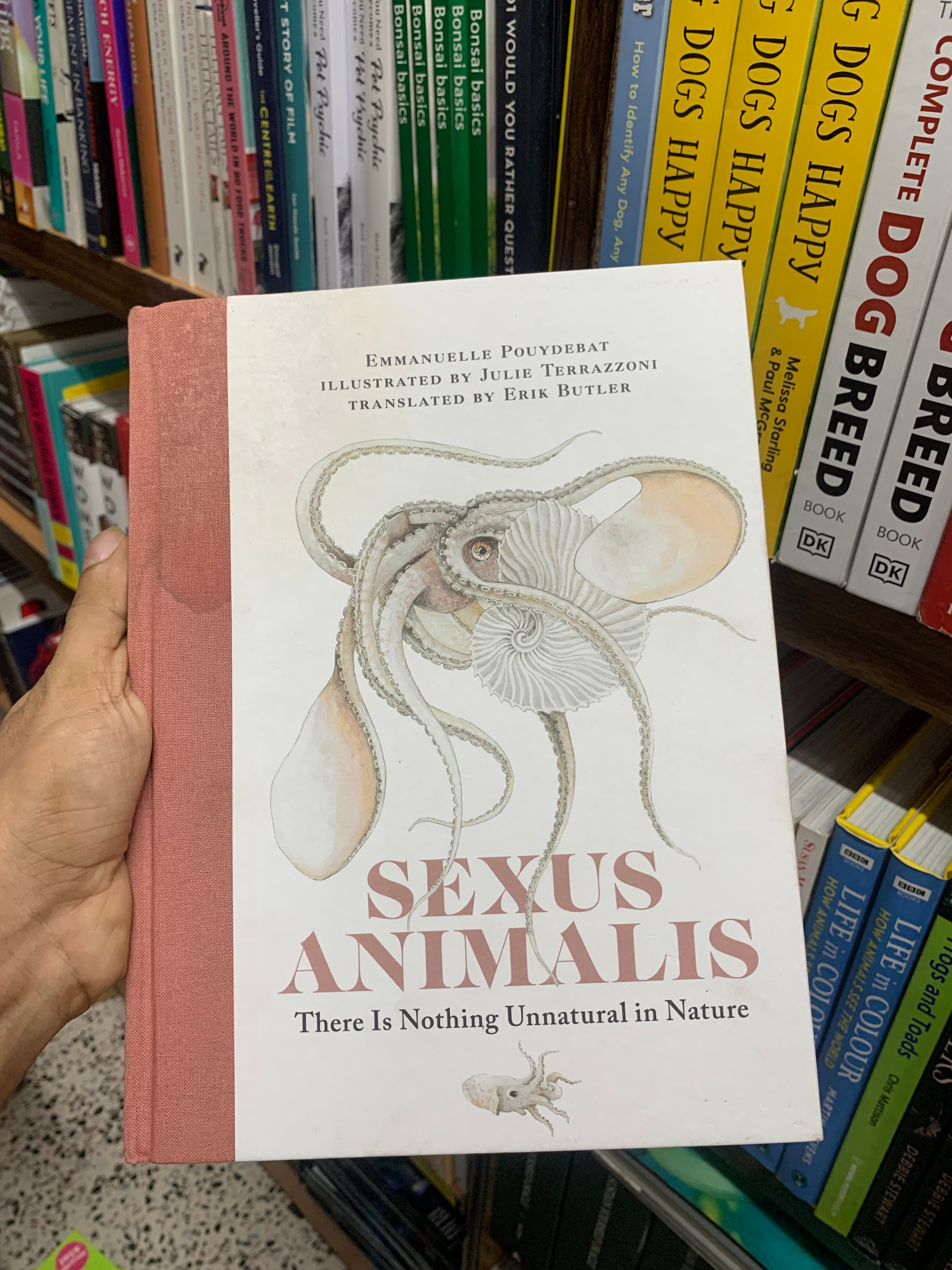 Sexus Animalis: There Is Nothing Unnatural in Nature