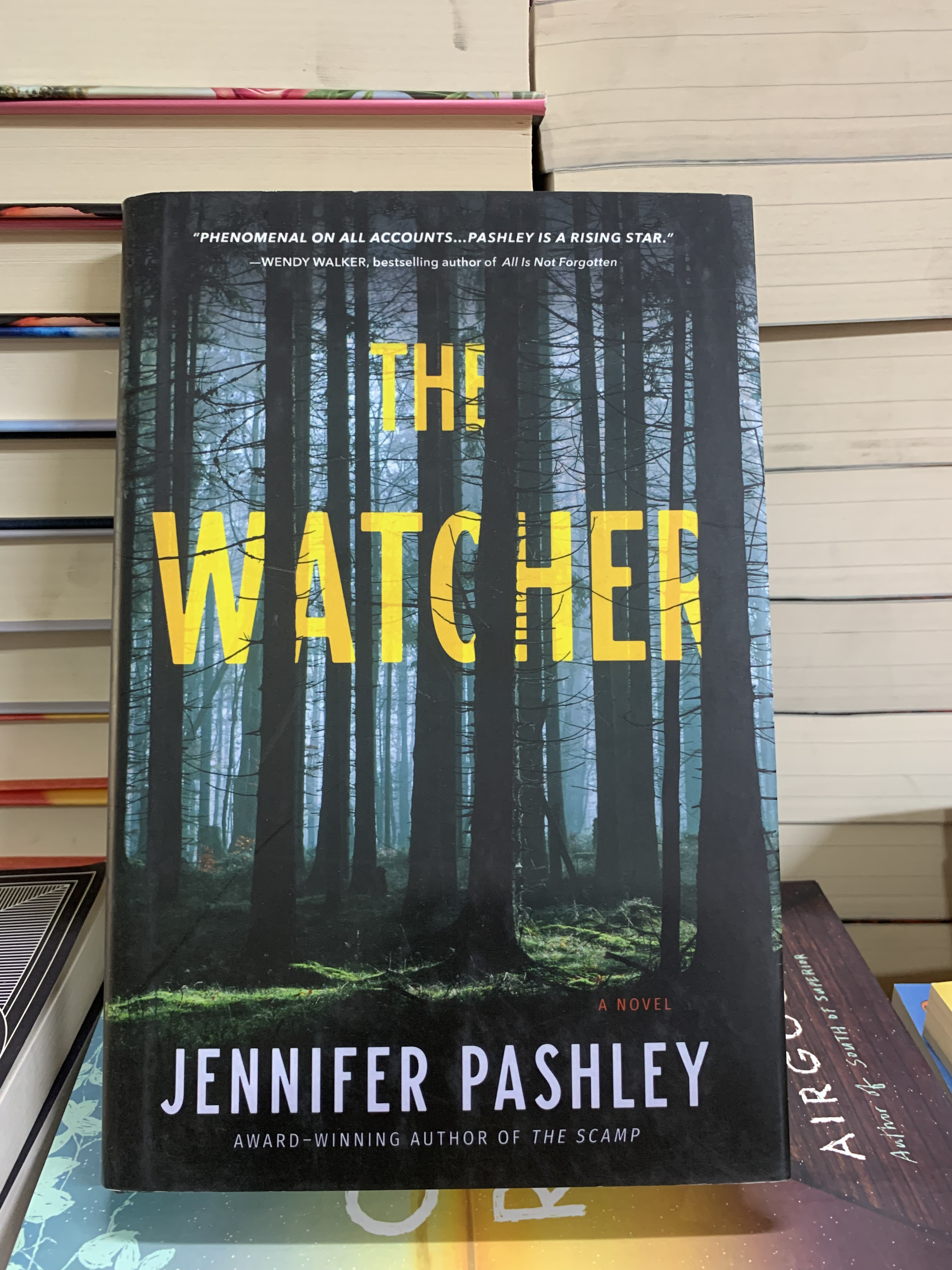 The Watcher: A Kateri Fisher Novel Booklify