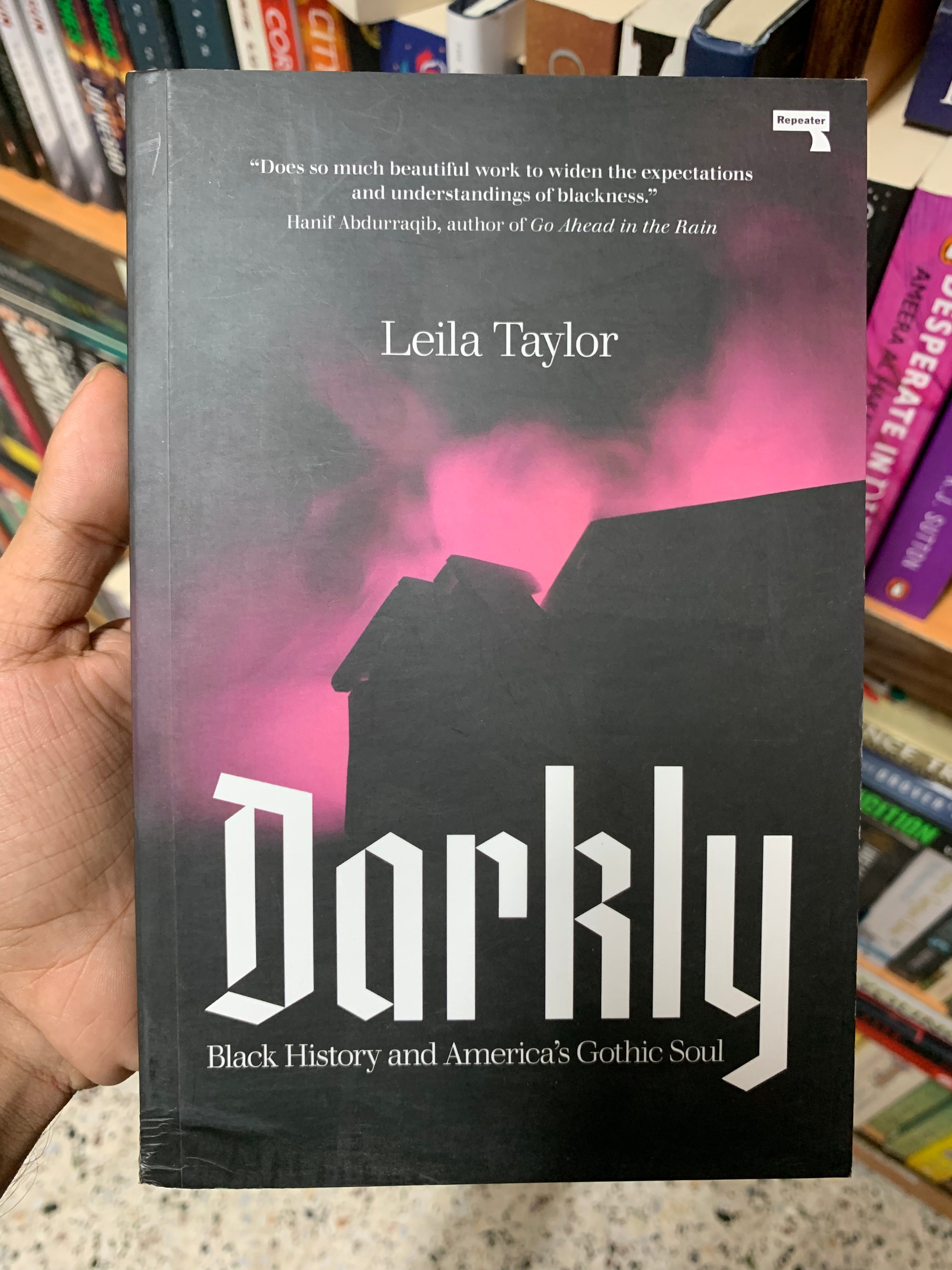 Darkly: Blackness and America's Gothic Soul by Leila Taylor Booklify