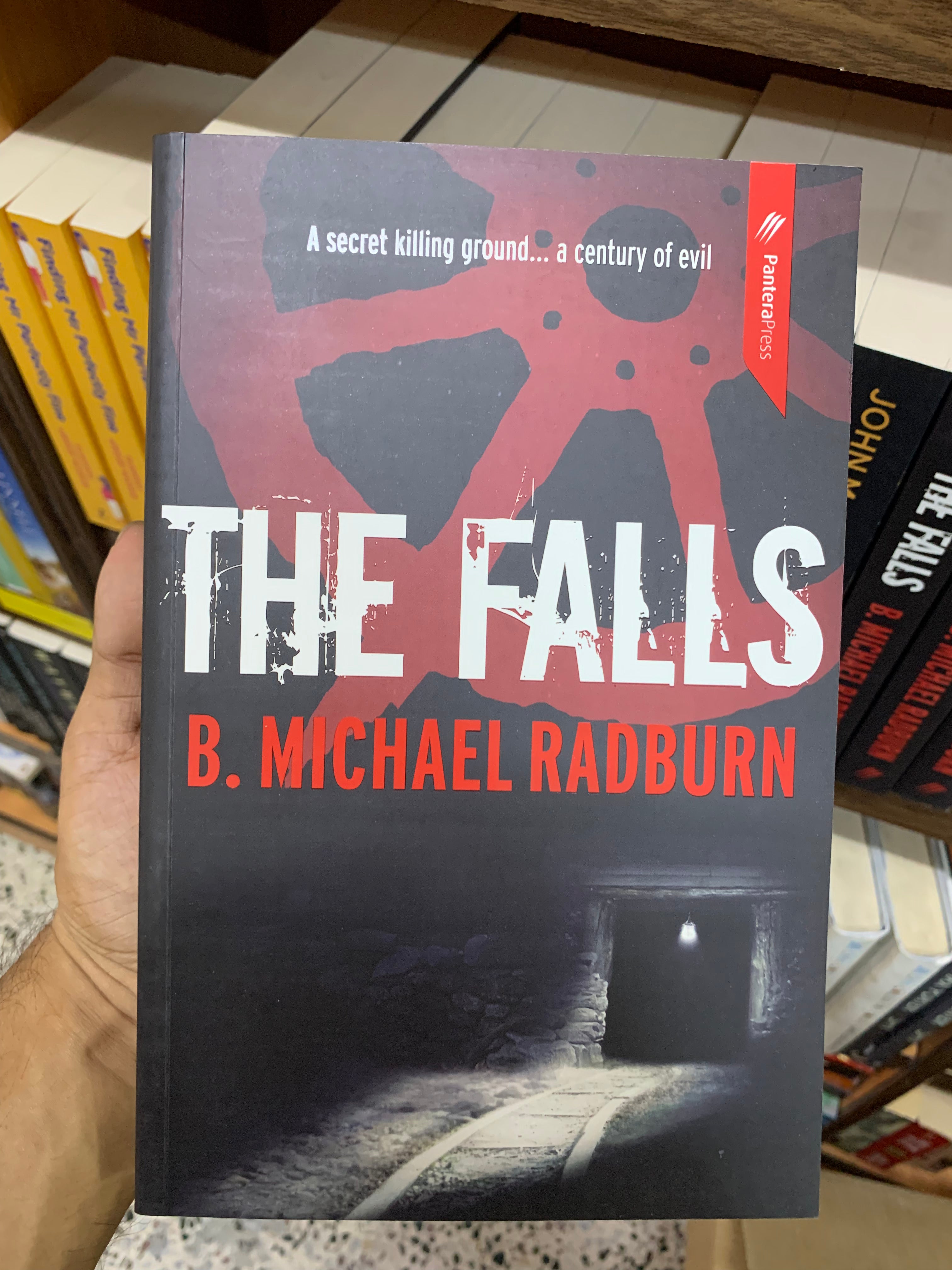 The Falls by B. Michael Radburn Booklify