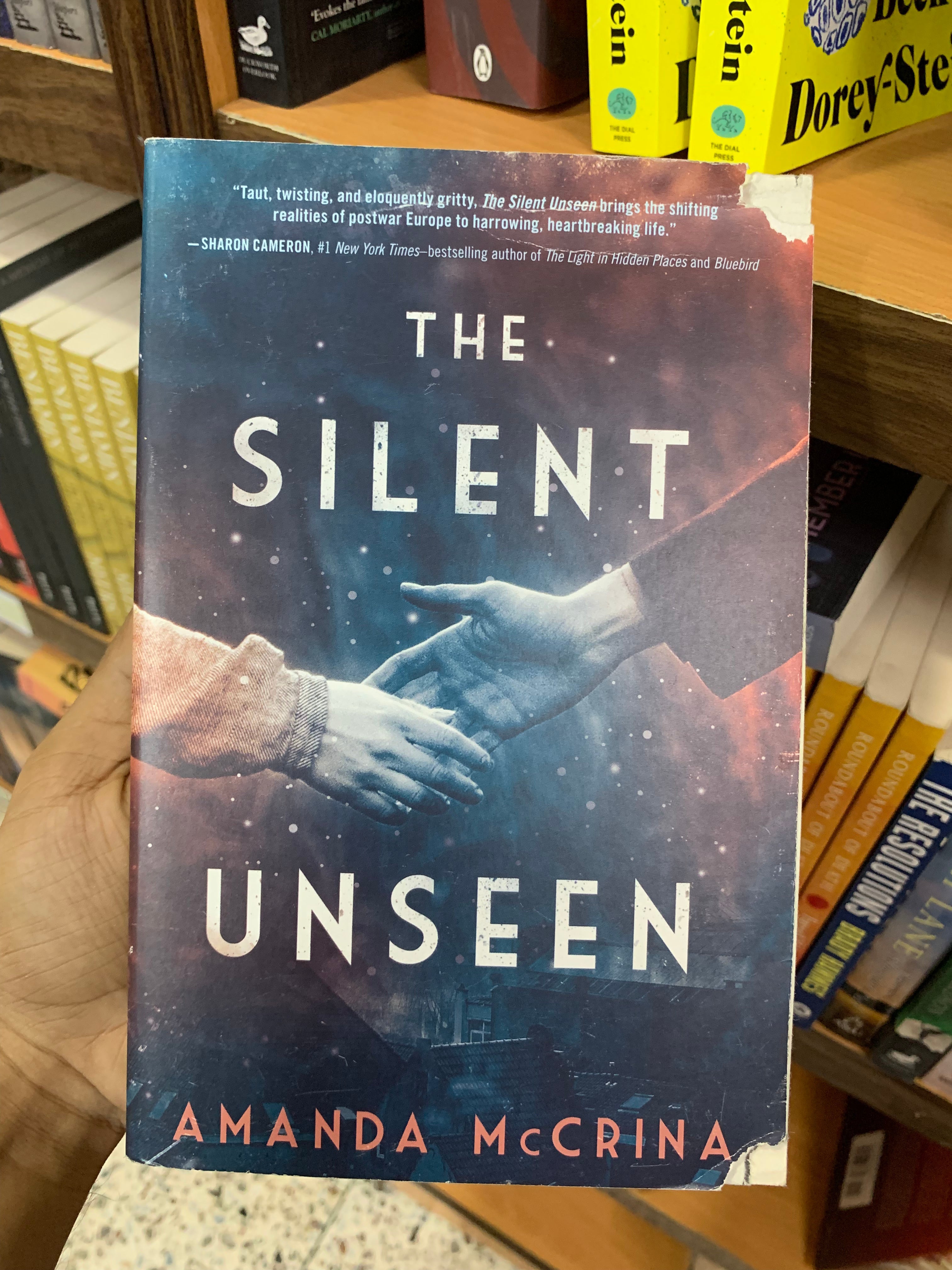 The Silent Unseen by Amanda McCrina Booklify