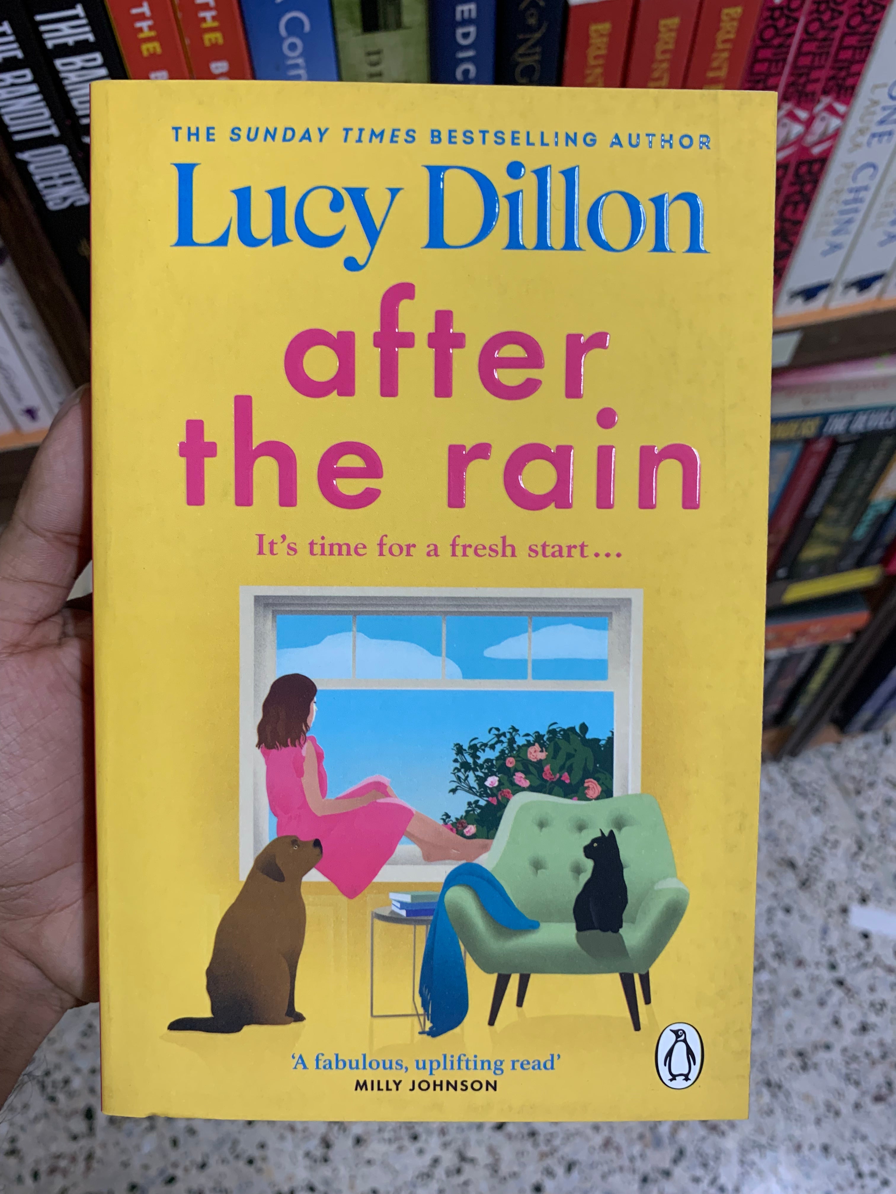 After the Rain by Lucy Dillon Booklify