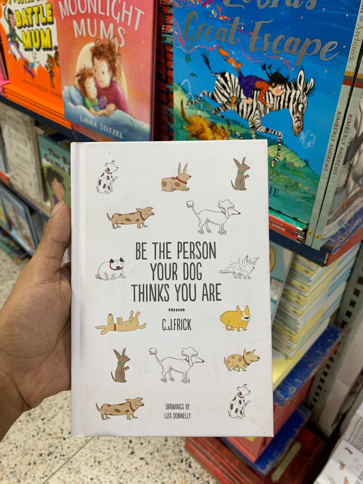 The Zebra's Great Escape  (Original Edition) Booklify